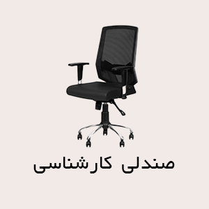 صندلی کارشناسی
